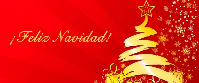 Happy Holidays from Ibiza Project!